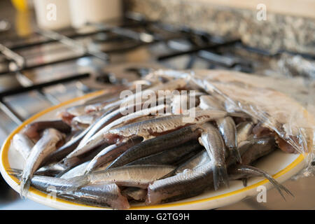 Crudo fresco acciughe Foto Stock