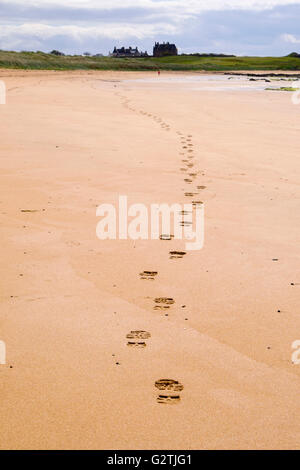 Linea di impronte che portano lontano nella sabbia lungo la Fife Sentiero costiero di bassa marea rotta con walker in distanza. West Beach Elie e Earlsferry Fife Scozia Scotland Foto Stock