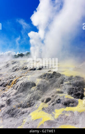 Pohutu geyser e il Principe di Galles piume geyser, Te Puia, whakarewarewa thermal Valley, a Rotorua, Nuova Zelanda Foto Stock