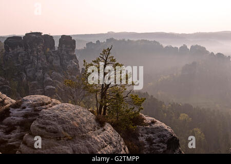 Vista dalla bastei formazione di roccia, Svizzera sassone national park, in Sassonia, Germania Foto Stock