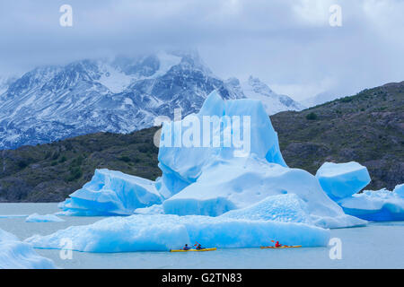 Kayakers sul lago, lago grigio, iceberg, parco nazionale Torres del Paine, Ande della Patagonia, Patagonia, Cile Foto Stock