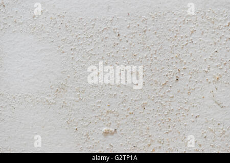 Texture di stampo su bianco smorzato sfondo a parete Foto Stock