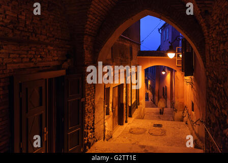 Fingerling scalinata, Romania, Transilvania, Transilvania, Siebenbürgen (Transsilvanien) , Sibiu (Hermannstadt) Foto Stock