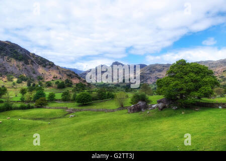 Langdale Pikes, Lake District, Cumbria, England, Regno Unito Foto Stock