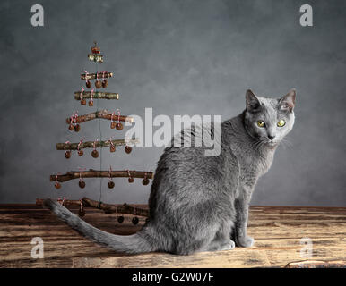 Gatto con il simbolico albero di Natale decorato con alimento di gatto agglomerati in forma di pellets Foto Stock