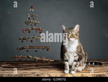 Gatto con il simbolico albero di Natale decorato con alimento di gatto agglomerati in forma di pellets Foto Stock