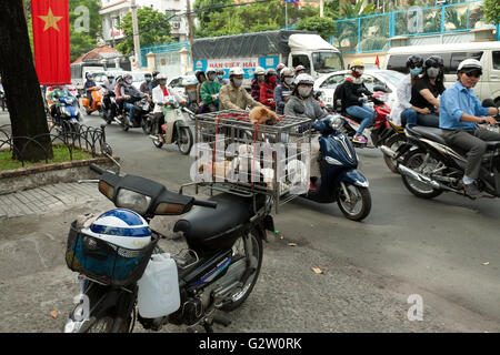 La vendita di cani di piccola taglia sul sovraccarico motocicletta in corrispondenza della strada di Saigon Foto Stock