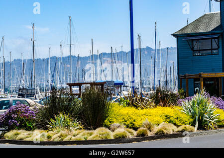 Smeriglio Cove Yacht Harbour su Powell Street Emeyrville in California Foto Stock