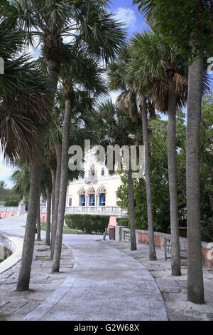 Percorso per la casa principale attraverso un boschetto di palme da cocco presso il centro storico di Vizcaya Museum su Biscayne Bay in Coconut Grove area di Miami, Florida. Foto Stock