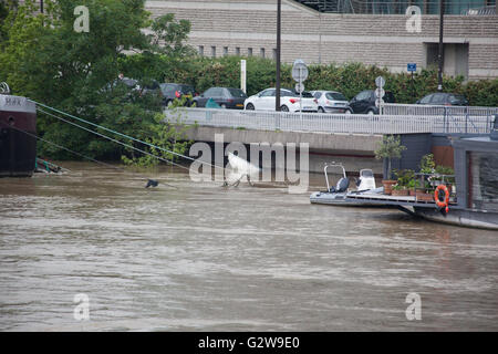 Le acque di esondazione intorno a l'Ile Saint Germain causando problemi per case galleggianti e waterfront e le aziende. Foto Stock