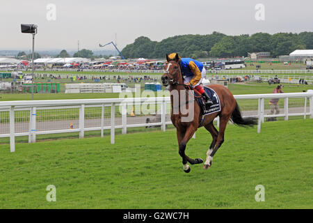 Epsom Downs, Surrey, Inghilterra, Regno Unito. Il 3 giugno 2016. Onorevoli giorno presso la Epsom Downs Race Course, dove la Investec Oaks è la gara principale della giornata. Qui Frankie Dettori rides n. 1 Architettura attorno Tattenham angolo verso la partenza della gara, infine la finitura secondo dopo aver guidato per gran parte della porta dritto a casa. Credito: Julia Gavin UK/Alamy Live News Foto Stock