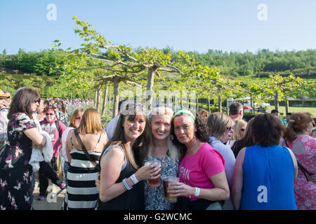 Eden Project, Cornwall, Regno Unito. Il 3 giugno 2016. Simon Le Bon, John Taylor e Nile Rodgers su uno show di essere ripresi al Progetto Eden davanti a questa sera BBC Music concerto per il giorno. Credito: Simon Maycock/Alamy Live News Foto Stock