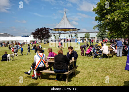 Royal Bath & west showground, Shepton Mallet, somerset, Regno Unito. Il 3 giugno, 2016. una calda giornata di sole al 2016 Royal Bath & west show credito: Andrew harker/alamy live news Foto Stock