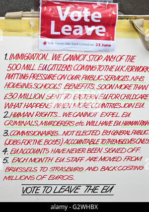 Liverpool, Merseyside, Regno Unito. 04 Giugno, 2016. Vote lascia gli attivisti adoperando in Liverpool, Merseyside, Regno Unito. Il 4 giugno 2016. "Voto lasciare' camapigners erano in vigore in Liverpool oggi per ottenere il loro messaggio prima del referendum dell'UE. Nel 2016 il governo conservatore di David Cameron negoziato " un nuovo insediamento per la Gran Bretagna nell'Unione europea". In seguito al completamento dei negoziati, Cameron pianificato un referendum per il Regno Unito è membro dell'Unione europea a prendere posto nel Regno Unito e Gibilterra il 23 giugno 2016. Credito: Cernan Elias/Alamy Live News Foto Stock