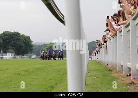 Epsom Downs, Surrey, Inghilterra, Regno Unito. Il 4 giugno 2016. Derby giorno presso la Epsom Downs Race Course, dove la famosa gara di piana la Investec Derby è la gara principale della giornata. Gara frequentatori di scattare foto come i cavalli passano il 8 furlong marcatore. Foto Stock