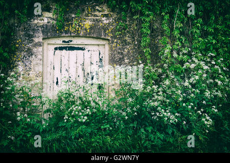 Giardino in legno porta entro una parete circondata da piante. Cotswolds, Sherborne, Gloucestershire, UK. Vintage filtro applicato Foto Stock