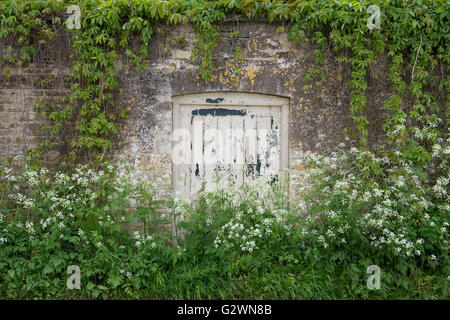 Giardino in legno porta entro una parete circondata da piante. Cotswolds, Sherborne, Gloucestershire, Regno Unito Foto Stock