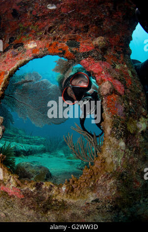 Scuba Diver guarda attraverso oblò sul relitto Benwood. Foto Stock