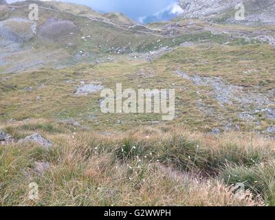 Della ROMANIA Parchi naturali Foto Stock