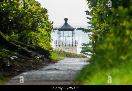 Un marciapiede che conduce a nord Capo Faro. Delusione del capo del parco statale, Ilwaco, Washington, Stati Uniti. Foto Stock