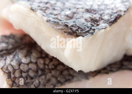 Filetto di nasello con la pelle, macro, come sfondo, soft focus Foto Stock