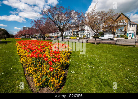 Clifton Terrace & Clifftown Parade sono sviluppi Vittoriano, la cima di una scogliera che si affaccia su posizione l'estuario del Tamigi Southend on Sea Essex Foto Stock