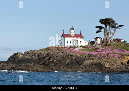 Battery Point Lighthouse, Sitka Spruce, Del Norte County. Foto Stock