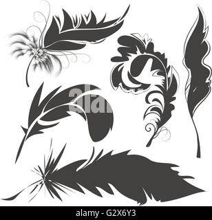 Impostare le penne degli uccelli per disegno Illustrazione Vettoriale