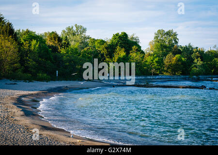 Una spiaggia al centro isola, a Toronto, Ontario. Foto Stock