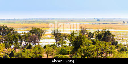 Vista del paesaggio del Parco Nazionale Chobe vicino a Kasane Botswana, Africa Foto Stock