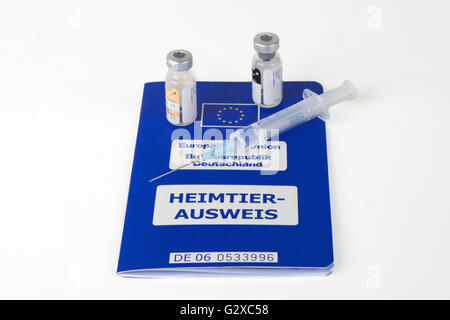 Una siringa e fiale su un passaporto europeo per gli animali domestici, Germania Foto Stock