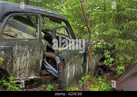 Kyrkö mosse scrapyard, Ryd, Tingsryd, Kronoberg County, Svezia Foto Stock