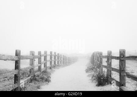 Nella nebbia. Foto Stock