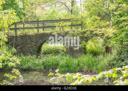 Ha rovinato il vecchio ponte lapideo oltre il fossato a molla verde Foto Stock