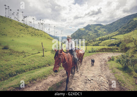 Allevatore locale nella valle Cocora nei pressi di Salento, Colombia Foto Stock