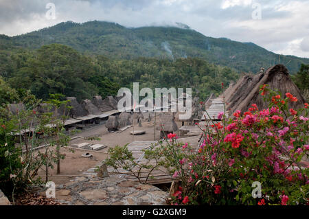 Flores, Bena Village, case tradizionali Foto Stock