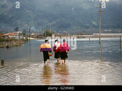 Tre donne e i loro bambini a piedi attraverso un fiume allagata nel cloud foreste del Chiapas, Messico. Foto Stock