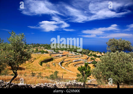 Tipico paesaggio mediterraneo sulla "Via Licia', tra Yediburun e bel villaggi, Provincia di Mugla, Lycia, Turchia. Foto Stock