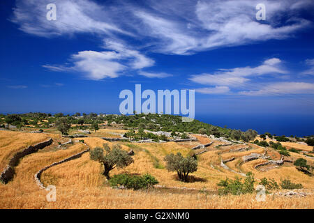 Tipico paesaggio mediterraneo sulla "Via Licia', tra Yediburun e bel villaggi, Provincia di Mugla, Lycia, Turchia. Foto Stock