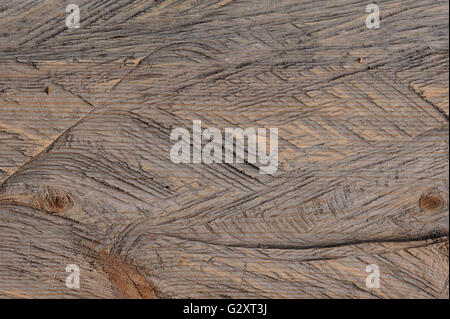 Close-up sullo sfondo di un taglio di legno texture ad albero Foto Stock