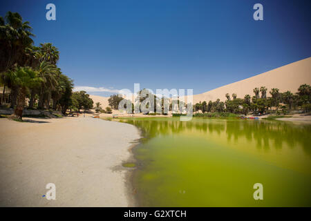 Oasi circondata da dune di sabbia vicino Perù Ica Foto Stock