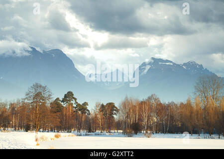 Paesaggio invernale foresta montagne in background Foto Stock