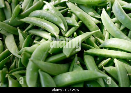 Piselli a schiocco dello zucchero Foto Stock