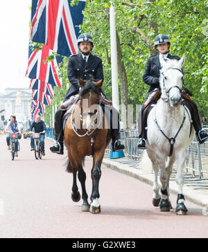 Bunting e la polizia montata sul Mall - il seguito della Trooping il colore su Parata di guardie a cavallo - la revisione del colonnello Foto Stock