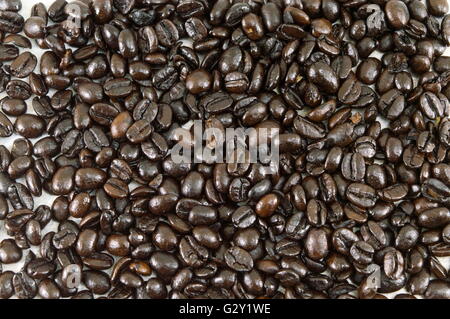 Mazzetto di chicchi di caffè tostati sfondo di formatura Foto Stock