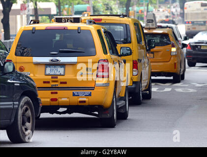 Nonostante il rapido aumento di Uber e Lyft e caduta nel medaglione costi il taxi giallo rimane onnipresente nella città di New York Foto Stock