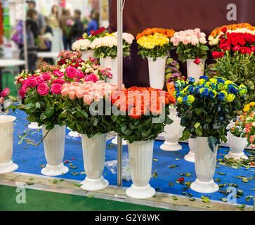 Fiori in ciotole Foto Stock