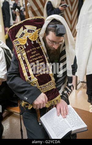 Un uomo che indossa una preghiera scialle & phylacteries tenendo un Torah durante la mattina dei giorni feriali servizi in sede Lubavitch in NYC Foto Stock