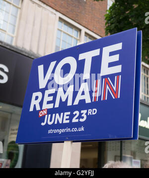 Exeter High St UK 4 giugno 2016 rivale referendum gli attivisti woo sabato shoppers Credito: Anthony Collins/Alamy Live News Foto Stock