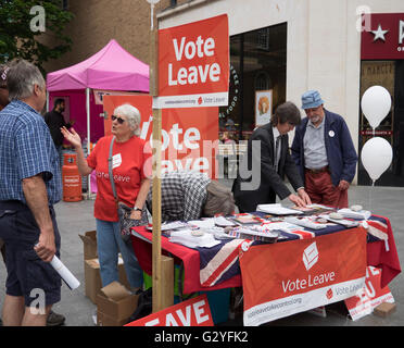 Exeter High St UK 4 giugno 2016 rivale referendum gli attivisti woo sabato shoppers brexit Credito: Anthony Collins/Alamy Live News Foto Stock